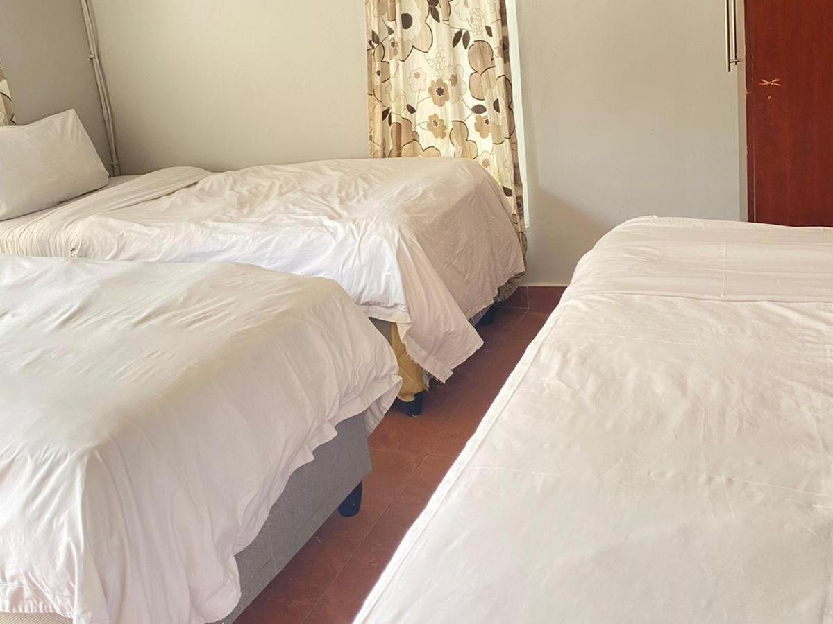 Hostel Bentley Backpackers *